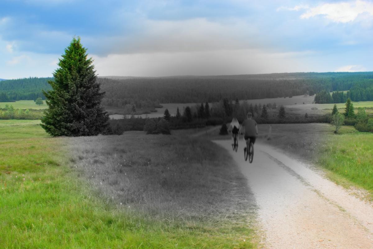 Landscape split into color and grayscale, with two people cycling down a path; the grayscale area suggests central vision loss.